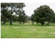 Orange NSW 2800