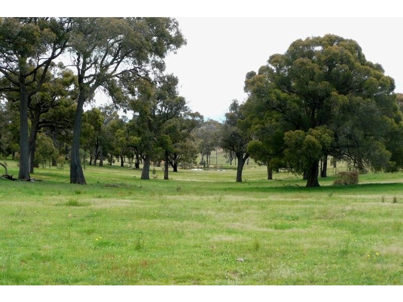 Orange NSW 2800
