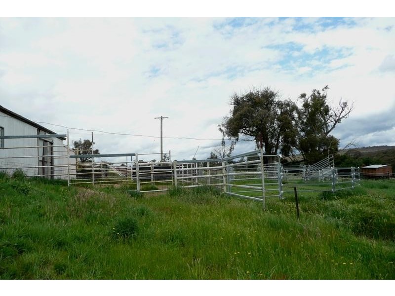 Orange NSW 2800