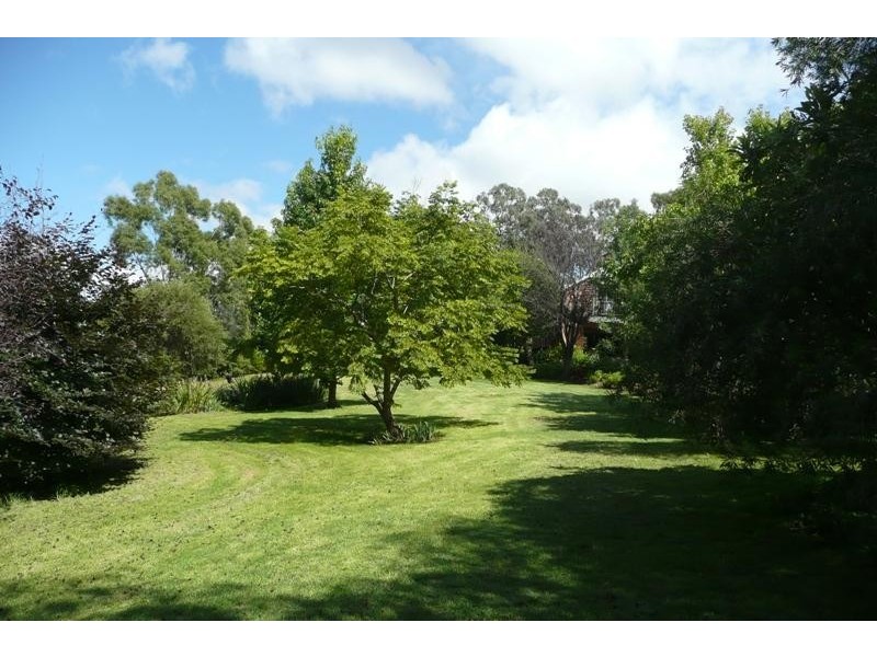 Orange NSW 2800