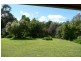 Orange NSW 2800