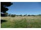 Orange NSW 2800