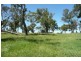 Orange NSW 2800