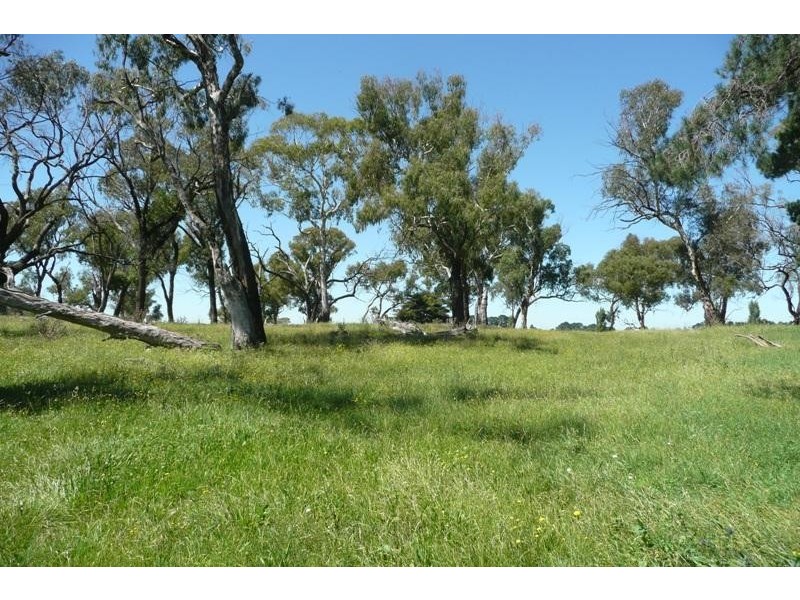 Orange NSW 2800