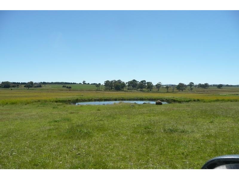 Orange NSW 2800