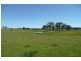 Orange NSW 2800