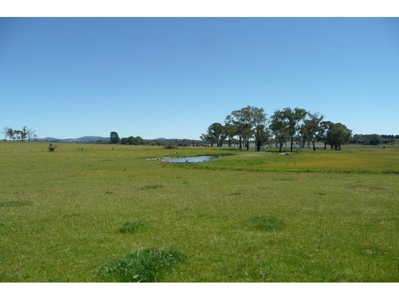Orange NSW 2800