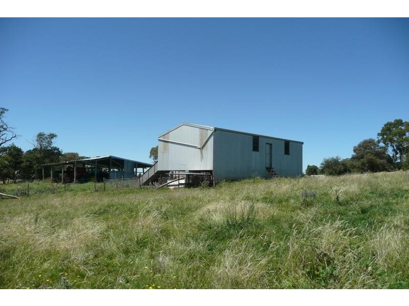 Orange NSW 2800