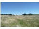 Orange NSW 2800