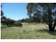 Orange NSW 2800