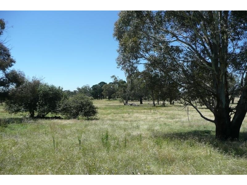 Orange NSW 2800
