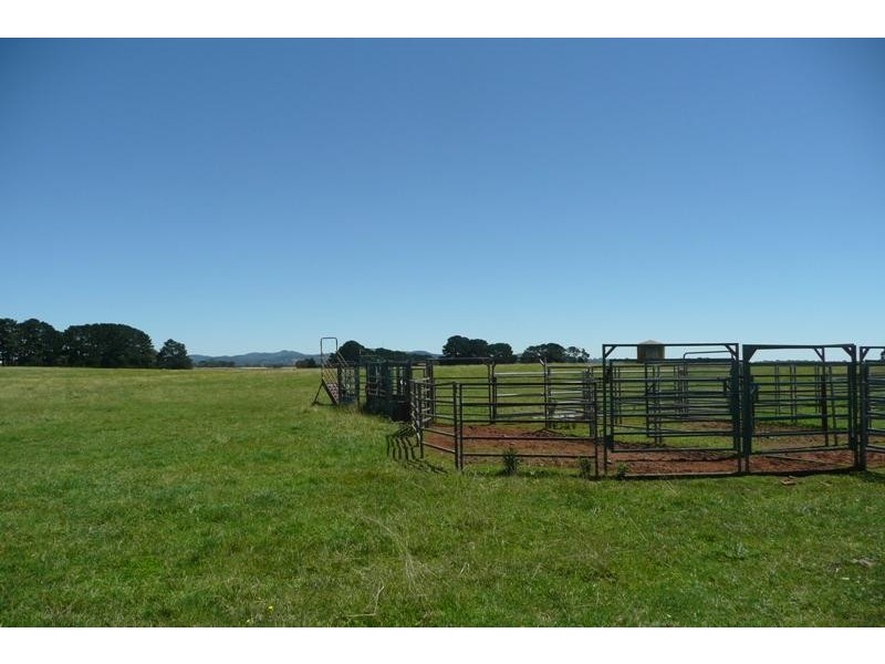 Orange NSW 2800
