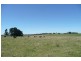 Orange NSW 2800