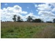 Forest Reefs NSW 2798