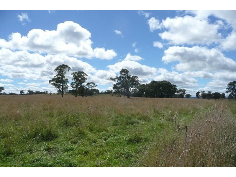 Forest Reefs NSW 2798