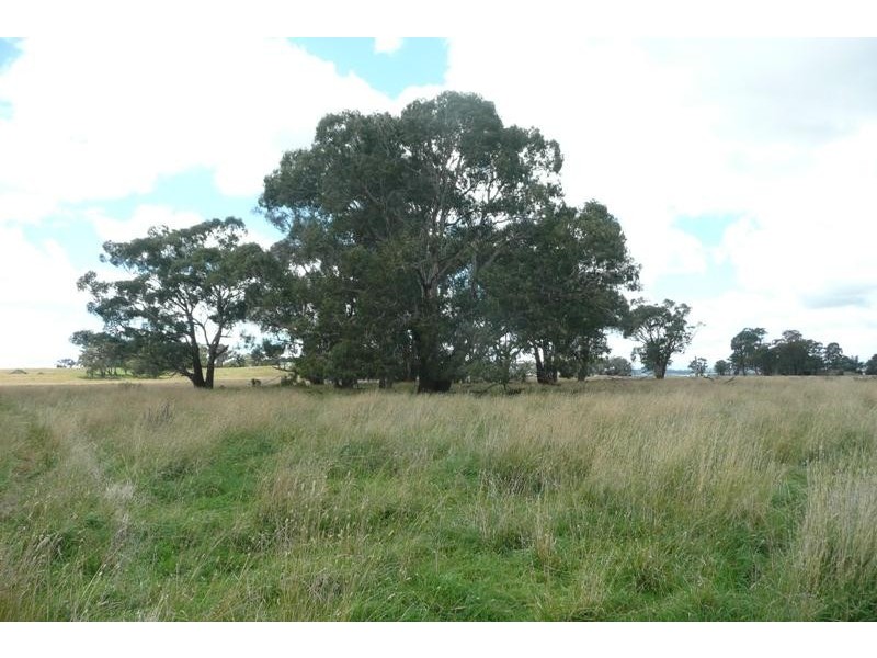 Forest Reefs NSW 2798