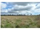 Forest Reefs NSW 2798
