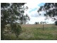 Forest Reefs NSW 2798