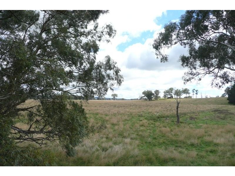 Forest Reefs NSW 2798