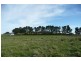 Orange NSW 2800