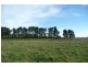Orange NSW 2800