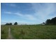 Orange NSW 2800