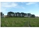 Orange NSW 2800