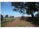 Orange NSW 2800