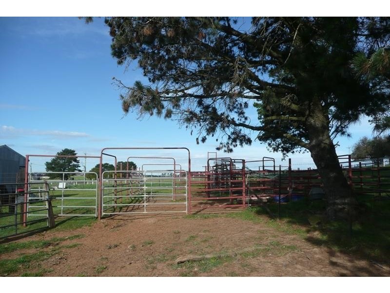 Orange NSW 2800