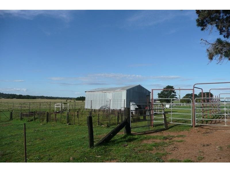 Orange NSW 2800