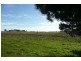 Orange NSW 2800