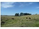 Orange NSW 2800