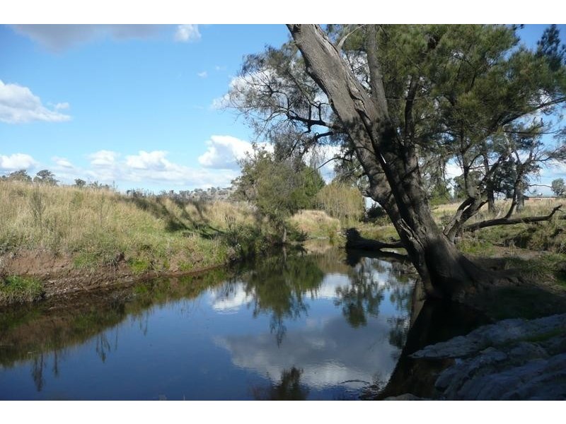Molong NSW 2866