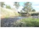 Molong NSW 2866