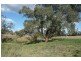Molong NSW 2866