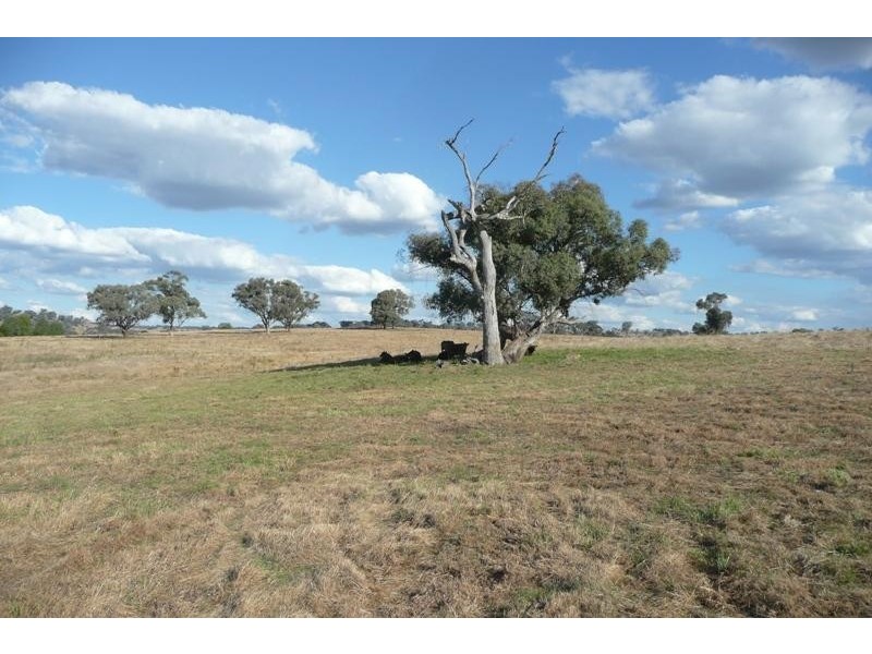 Molong NSW 2866