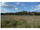 Molong NSW 2866
