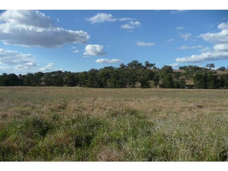 Molong NSW 2866