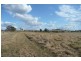 Molong NSW 2866