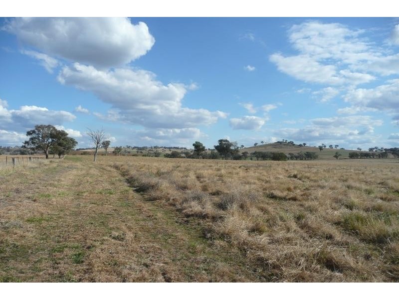 Molong NSW 2866