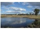 Molong NSW 2866