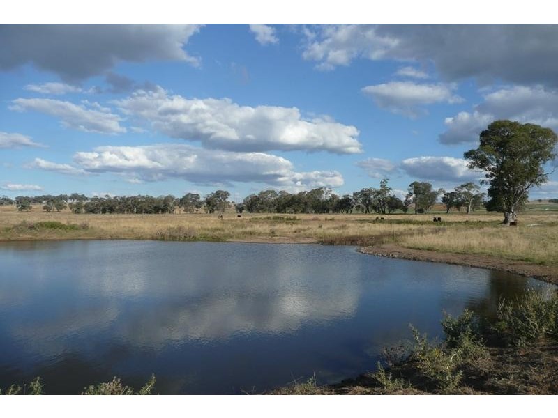 Molong NSW 2866