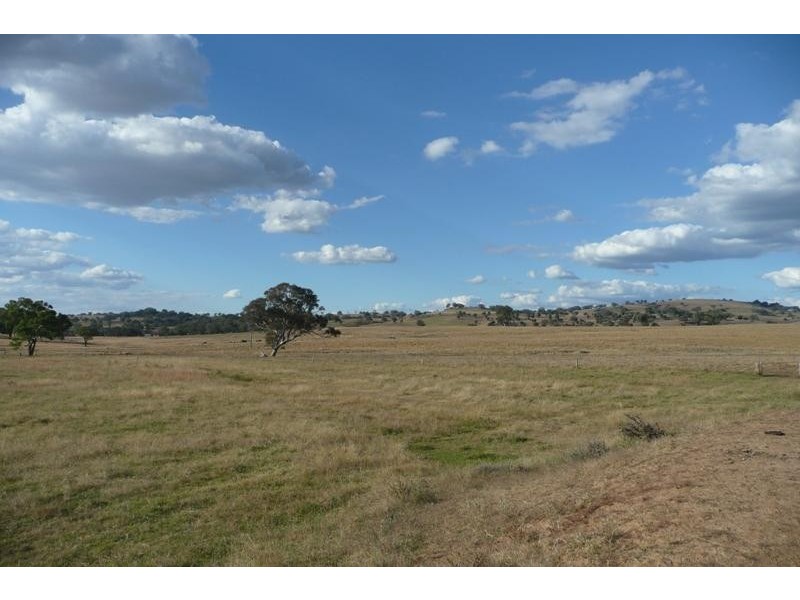 Molong NSW 2866