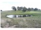 Lucknow NSW 2800
