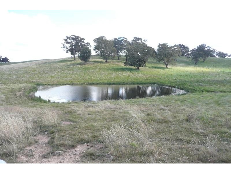 Lucknow NSW 2800