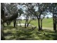 Lucknow NSW 2800