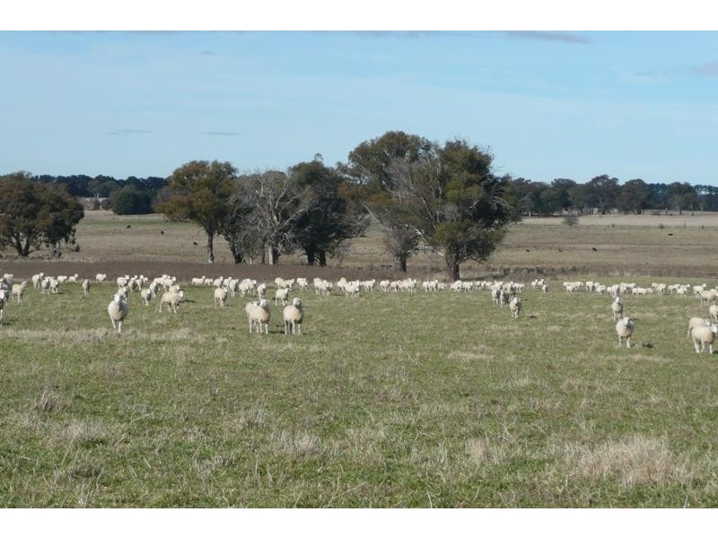 Orange NSW 2800