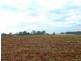 Orange NSW 2800