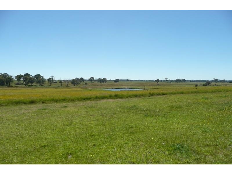Orange NSW 2800