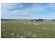 Orange NSW 2800